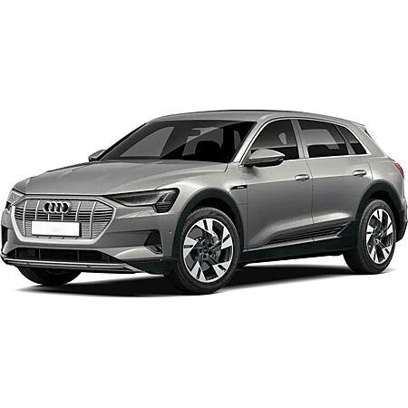 Audi e-tron abonieren