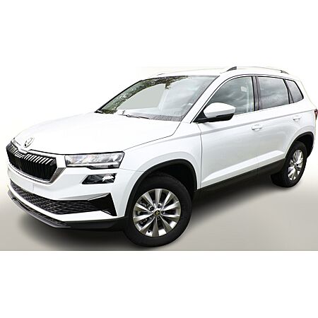 Skoda Karoq abonieren