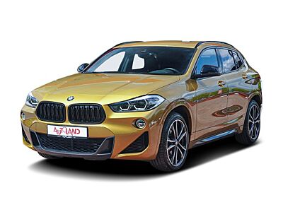 BMW X2 20i xDrive M Sport LED Navi Kamera Leder PDC