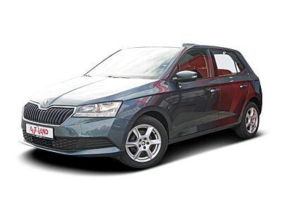 Skoda Fabia 1.0 MPI Cool Plus Sitzheizung Klima USB