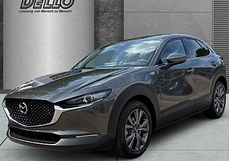 Mazda CX-30 e-SKYACTIV X M-Hybrid 186 Takumi AT 5 Türen