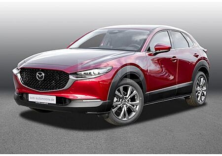 Mazda CX-30 e-SKYACTIV X M-Hybrid 186 Exclusive-l AT 5 Türen