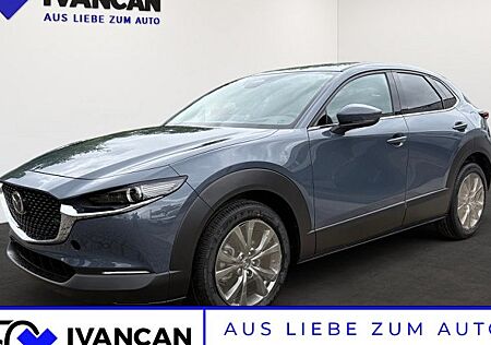 Mazda CX-30 e-SKYACTIV X M-Hybrid 186 Takumi 5 Türen