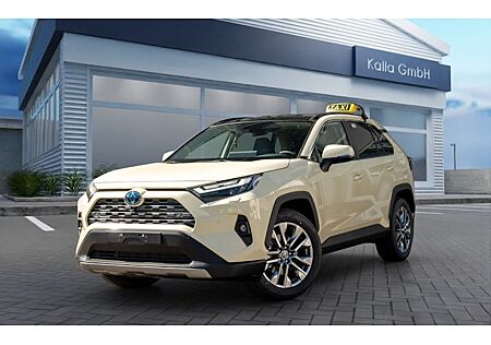 Toyota RAV 4 2.5 Hybrid Team Deutschland Auto 5 Türen