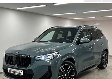 BMW X1 xDrive20d Steptronic 5 Türen