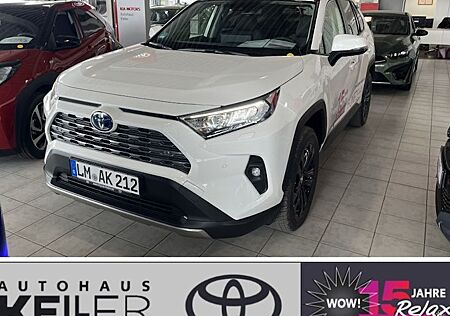Toyota RAV 4 2.5 Hybrid Team Deutschland Auto 5 Türen