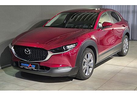 Mazda CX-30 e-SKYACTIV X M-Hybrid 186 AWD Exclus.-l 5 Türen