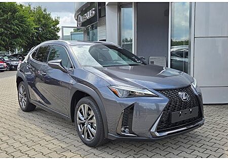 Lexus UX 300h F Sport Design 5 Türen