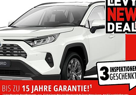 Toyota RAV 4 2.5 Hybrid Team Deutschland Auto AWD 5 Türen