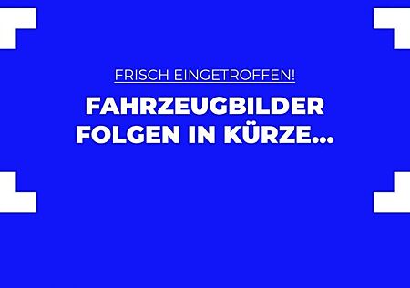 Ford EcoSport 1,0 EcoBoost 92kW Titanium 5 Türen