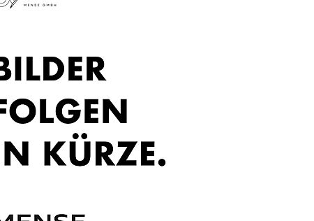 VW ID.BUZZ 59 kWh 125 kW Cargo Pure 4 Türen