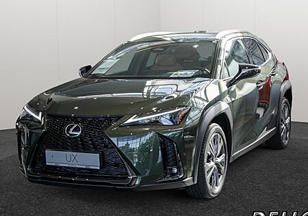 Lexus UX 300h 5 Türen
