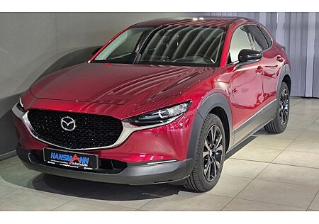Mazda CX-30 2.0 e-SKYACTIV-G M-Hybrid Homura 5 Türen