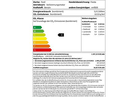 Ford Fiesta 1,0 EcoBoost Hybrid 92kW ST-Line X 5 Türen