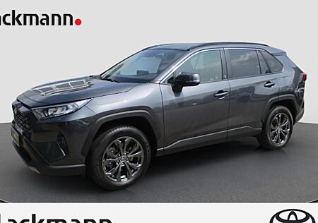 Toyota RAV 4 2.5 Hybrid Auto 5 Türen