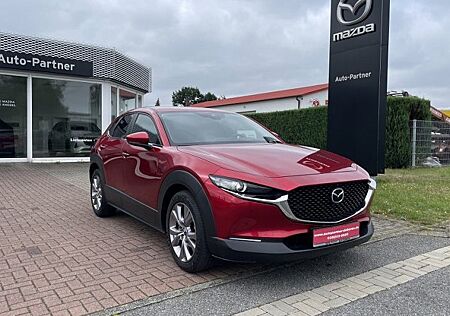 Mazda CX-30 2.0 SKYACTIV-G M-Hybrid 150 Selection 5 Türen