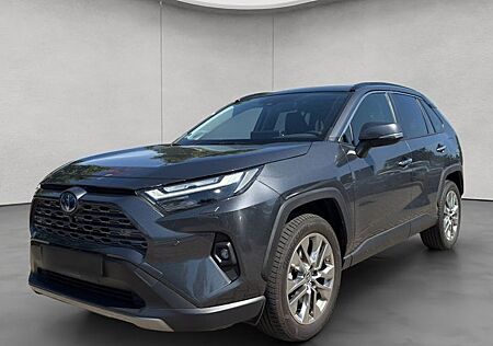 Toyota RAV 4 2.5 Hybrid Lounge Auto 5 Türen