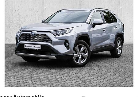 Toyota RAV 4 2.5 Hybrid Team Deutschland Auto AWD 5 Türen