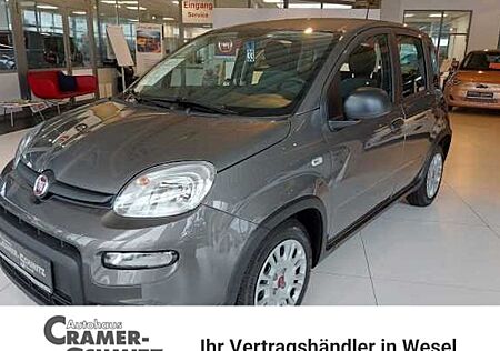 Fiat Panda 1.0 GSE Hybrid 5 Türen