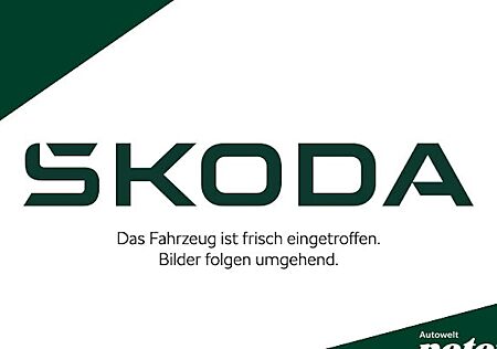 Skoda Fabia 1.0l TSI 70kW Selection 5 Türen