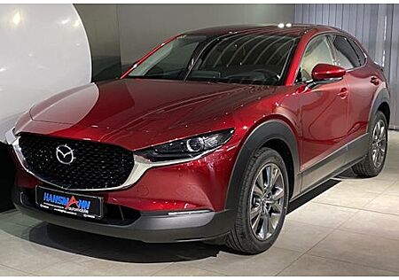Mazda CX-30 2.0 e-SKYACTIV-X M-Hybrid Selection 5 Türen