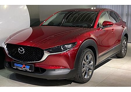 Mazda CX-30 2.0 e-SKYACTIV-X M-Hybrid Selection 5 Türen