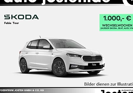 Skoda Fabia 1.0l MPI 59kW Selection 5 Türen
