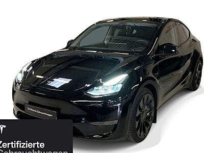 Tesla Model Y Performance Dual Motor AWD 5 Türen