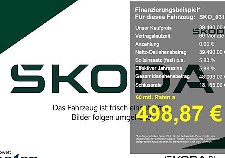 Skoda Karoq 2.0l TDI DSG 4x4 Drive 5 Türen