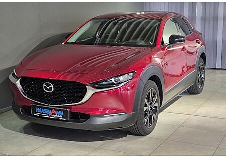 Mazda CX-30 2.0 e-SKYACTIV-G M-Hybrid Homura 5 Türen