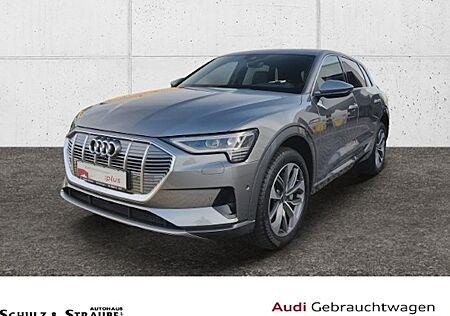 Audi Q8 e-tron 50 quattro advanced 5 Türen