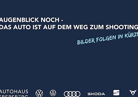 VW Golf 2.0 TSI OPF 4MOTION 245kW DSG R Bl.Ed. 5 Türen