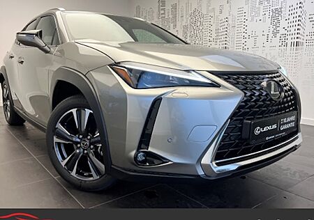 Lexus UX 250h 5 Türen