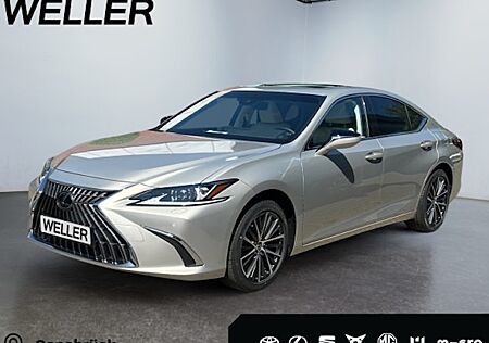 Lexus Andere 300h Business Line Automatik 4 Türen