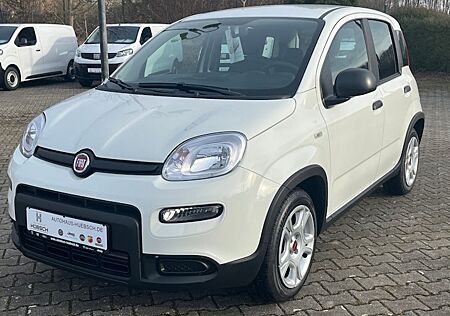 Fiat Panda 1.0 GSE Hybrid 5 Türen