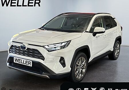 Toyota RAV 4 2.5 Hybrid Lounge Auto 5 Türen