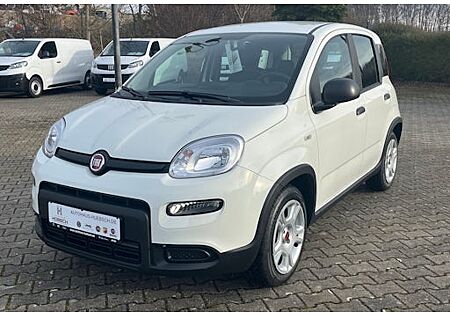 Fiat Panda 1.0 GSE Hybrid 5 Türen