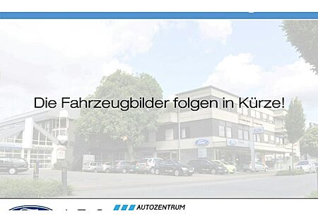 Ford Tourneo Custom 2.0 EcoBlue 125kW 320 L1 Titanium AT 4x4 4 Türen