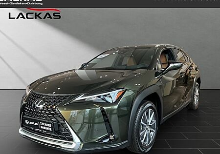 Lexus UX 300e 5 Türen