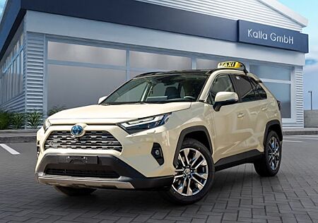 Toyota RAV 4 2.5 Hybrid Team Deutschland Auto 5 Türen