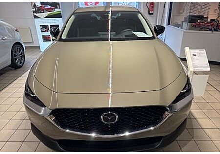 Mazda CX-30 e-SKYACTIV-G M-Hybrid 140 Homura 5 Türen
