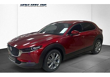 Mazda CX-30 e-SKYACTIV-G M-Hybrid 140 Exclusive-l AT 5 Türen