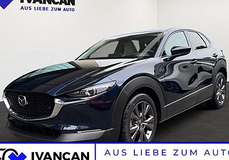 Mazda CX-30 e-SKYACTIV X M-Hybrid 186 Takumi AT 5 Türen