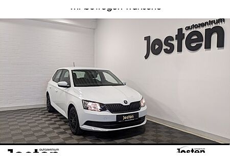 Skoda Fabia 1.0l MPI 44kW Active 5 Türen