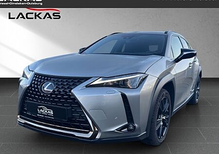 Lexus UX 300h 5 Türen