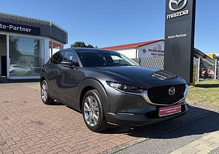 Mazda CX-30 e-SKYACTIV-G M-Hybrid 140 Exclusive-l AT 5 Türen