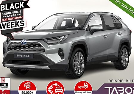 Toyota RAV 4 2.5 Hybrid Auto 5 Türen