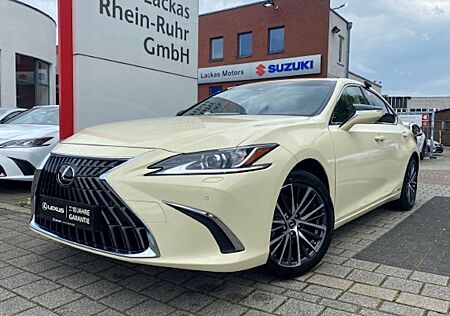 Lexus Andere 300h Executive Line Automatik 4 Türen