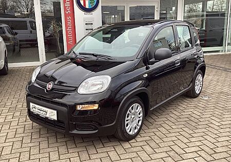 Fiat Panda 1.0 GSE Pandina Hybrid Cross 5 Türen