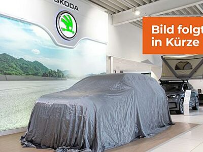 Skoda Fabia 1.5l TSI 110kW DSG Monte Carlo 5 Türen